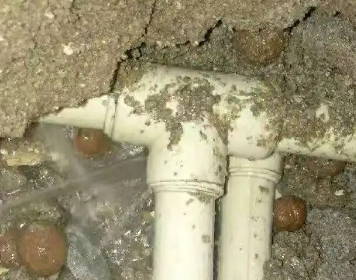 乌拉特后测漏水多少钱