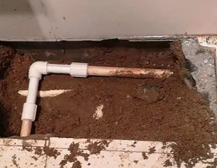 乌拉特后测漏水哪家好