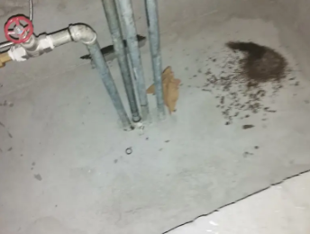 乌拉特后卫生间测漏水价格明细