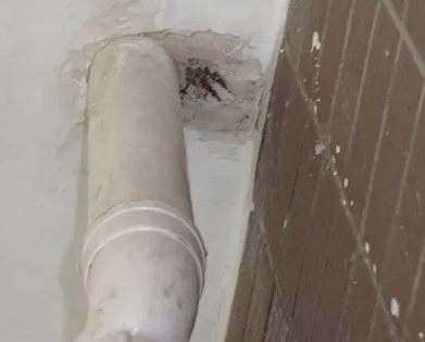 乌拉特后漏水检测哪家好